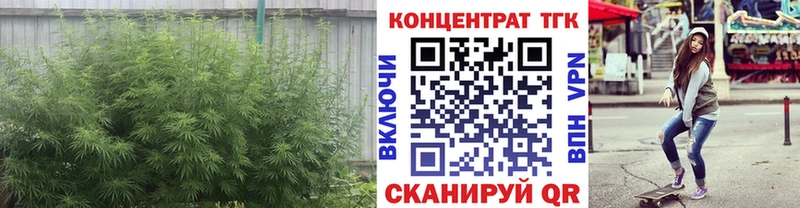 наркошоп  Курильск  ТГК Wax 